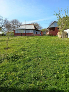 Ismayilli Halal Family Guest House, Ailəvi Bag Evi, Vacation House